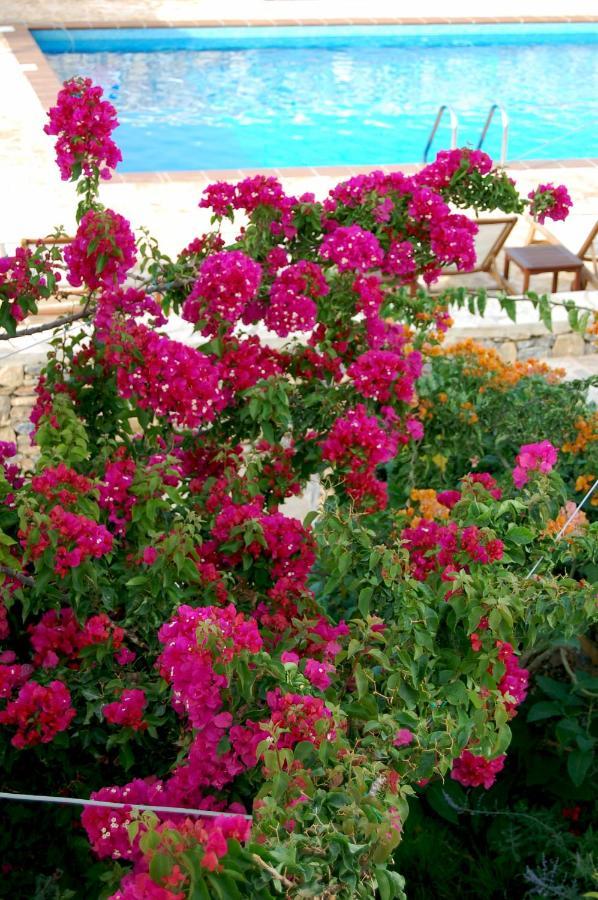 Aeolos Hotel Koufonisia 外观 照片